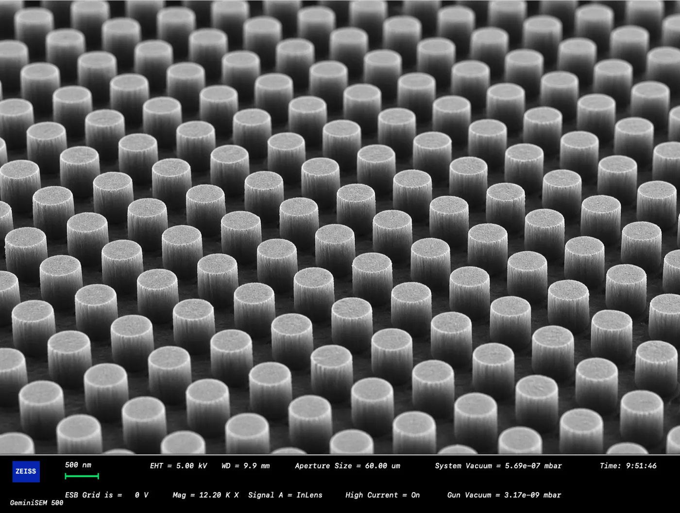 SEM image of nano pillar array
